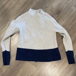 Banana Republic color block Sweater